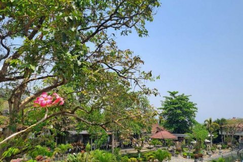 Вилла с 1 спальней в Karangasem, Карангасем, Индонезия № 13617 21