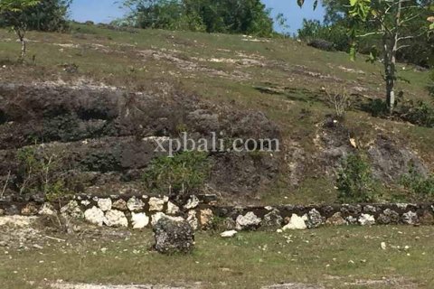 2510m2 Land in South Kuta, Badung, Indonesia No. 7930 5