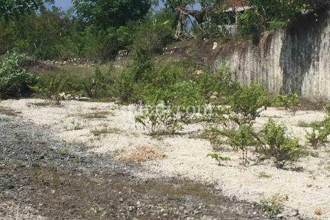 2510m2 Land in South Kuta, Badung, Indonesia No. 7930 3