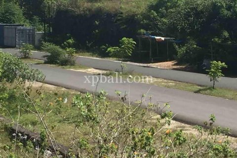 2510m2 Land in South Kuta, Badung, Indonesia No. 7930 6