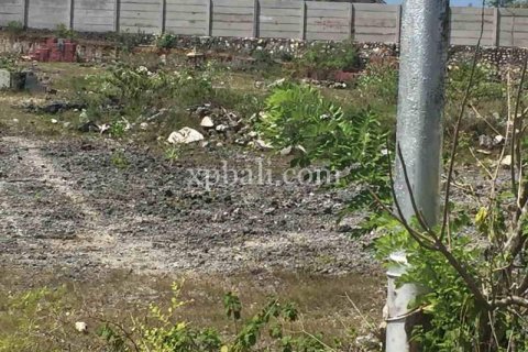 2510m2 Land in South Kuta, Badung, Indonesia No. 7930 4