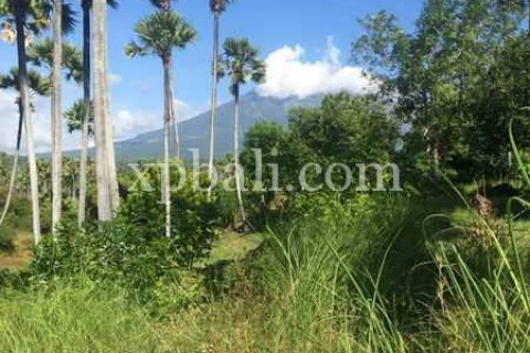 10620m2 Land in East Balikpapan, Balikpapan, Indonesia No. 7928 7