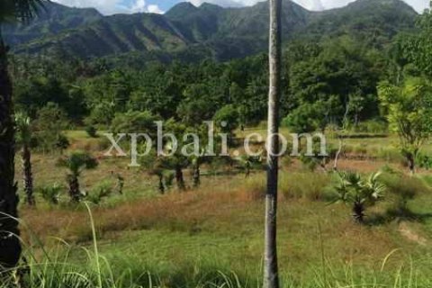 10620m2 Land in East Balikpapan, Balikpapan, Indonesia No. 7928 6