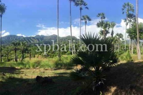 10620m2 Land in East Balikpapan, Balikpapan, Indonesia No. 7928 2