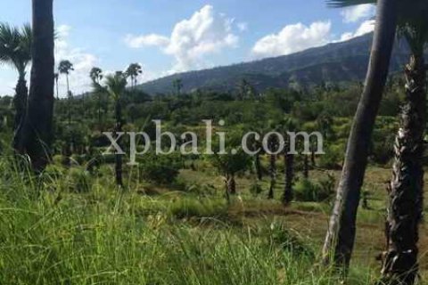 10620m2 Land in East Balikpapan, Balikpapan, Indonesia No. 7928 5