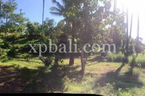 10620m2 Land in East Balikpapan, Balikpapan, Indonesia No. 7928 4