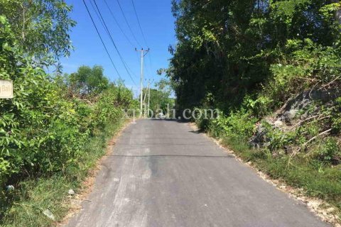1000m2 Land in South Kuta, Badung, Indonesia No. 7931 2