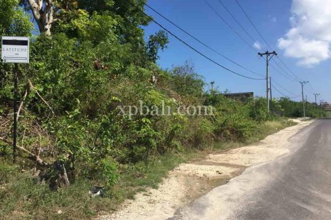 1000m2 Land in South Kuta, Badung, Indonesia No. 7931 4