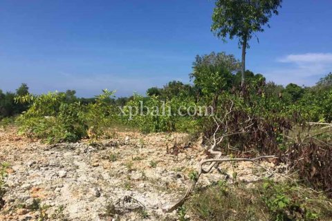 1000m2 Land in South Kuta, Badung, Indonesia No. 7931 6