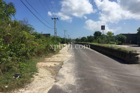 1000m2 Land in South Kuta, Badung, Indonesia No. 7931 3