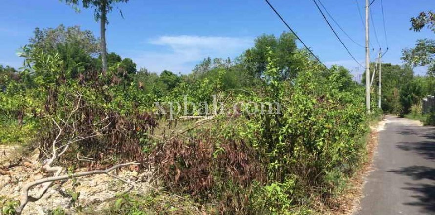 1000m2 Land in South Kuta, Badung, Indonesia No. 7931