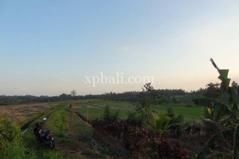 3575m2 Land in Tabanan, Indonesia No. 361 8