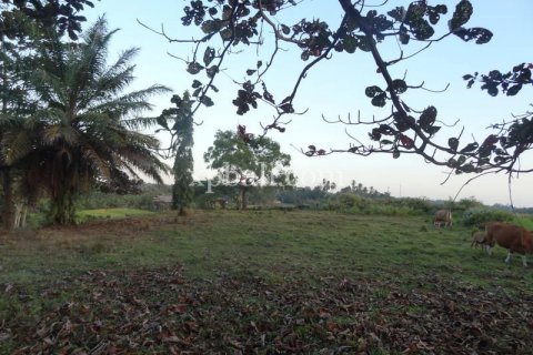 3575m2 Land in Tabanan, Indonesia No. 361 7