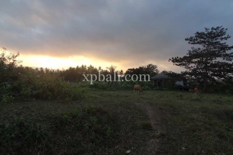 3575m2 Land in Tabanan, Indonesia No. 361 5