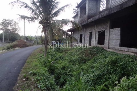3575m2 Land in Tabanan, Indonesia No. 361 2
