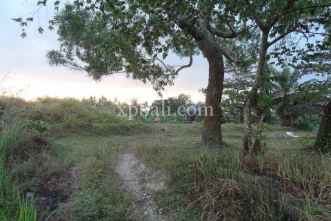 3575m2 Land in Tabanan, Indonesia No. 361 4