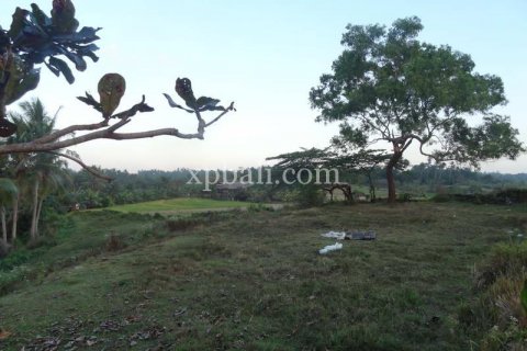 3575m2 Land in Tabanan, Indonesia No. 361 6