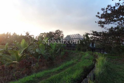 3575m2 Land in Tabanan, Indonesia No. 361 9