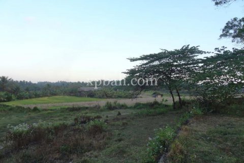 3575m2 Land in Tabanan, Indonesia No. 361