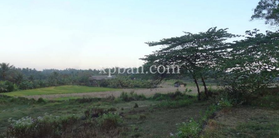 3575m2 Land in Tabanan, Indonesia No. 361