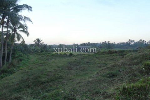 3575m2 Land in Tabanan, Indonesia No. 361 3