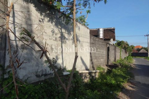 Земельный участок 650м2 в Seminyak, Бадунг, Индонезия № 356 4