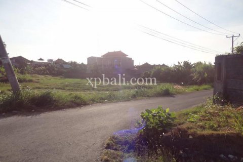 650m2 Land in Seminyak, Badung, Indonesia No. 356