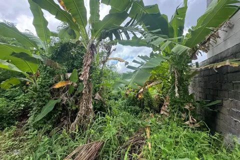 Land in Kediri, Indonesia No. 10795 3