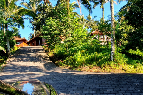 9 bedrooms Villa in Tabanan, Indonesia No. 9327 11