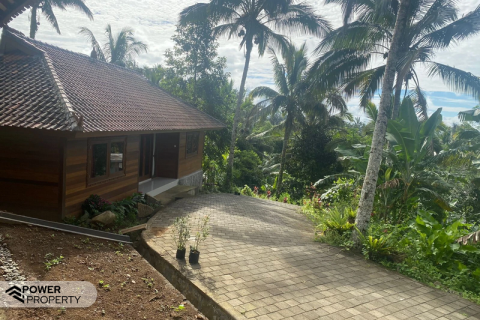 9 bedrooms Villa in Tabanan, Indonesia No. 9327 13