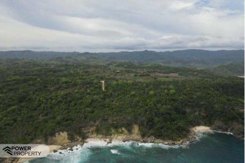 49300m2 Land in Indonesia No. 8827 4