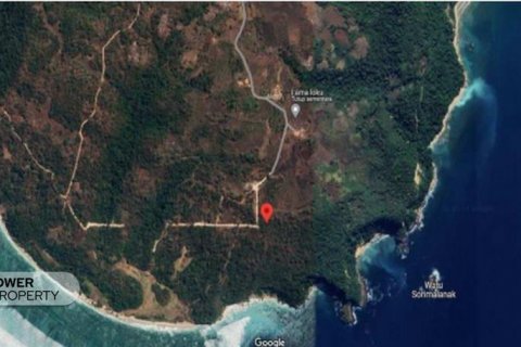 49300m2 Land in Indonesia No. 8827