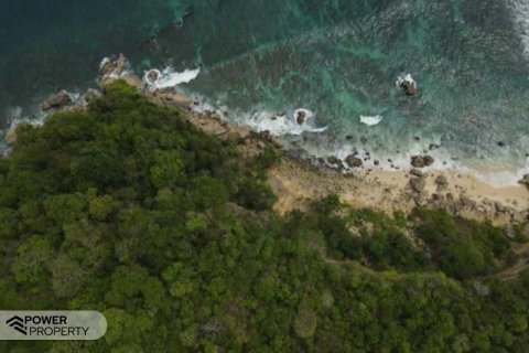 49300m2 Land in Indonesia No. 8827 3