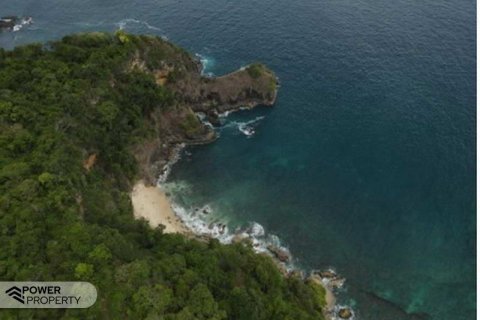 49300m2 Land in Indonesia No. 8827 7
