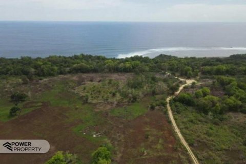 49300m2 Land in Indonesia No. 8827 5