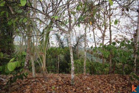 Land in Tabanan, Indonesia No. 11553