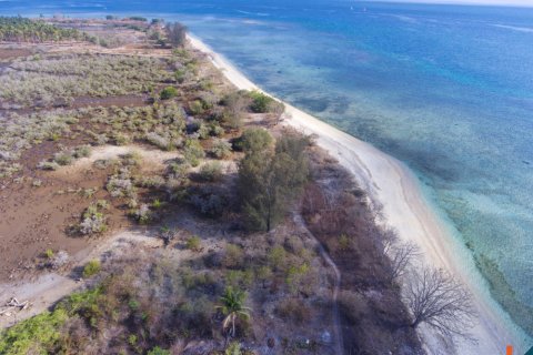 Land in Central Lombok, Indonesia No. 11551 5