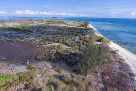 Land in Central Lombok, Indonesia No. 11551 7