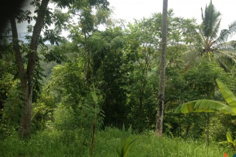 Land in Tabanan, Indonesia No. 11554 3