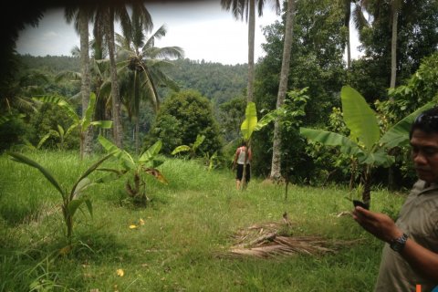 Land in Tabanan, Indonesia No. 11554
