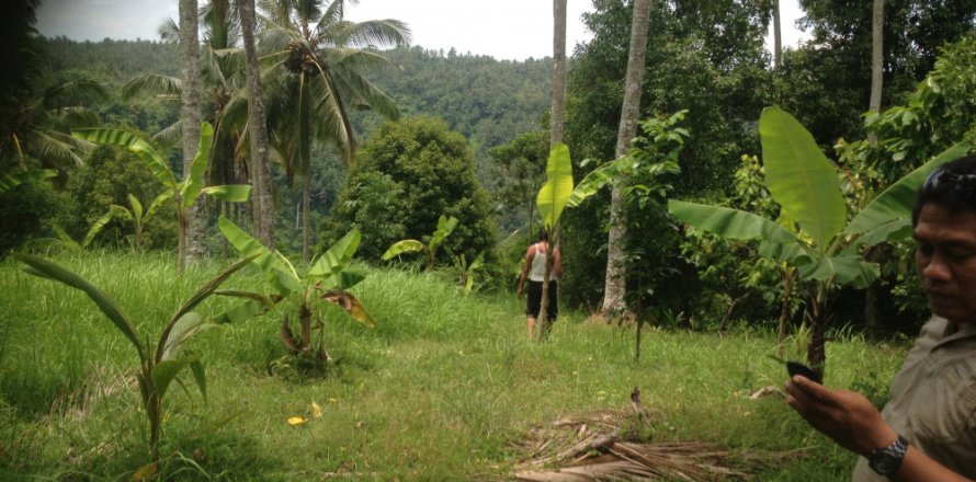 Land in Tabanan, Indonesia No. 11554