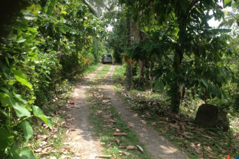 Land in Tabanan, Indonesia No. 11555