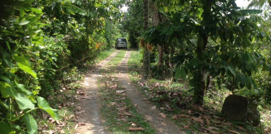 Land in Tabanan, Indonesia No. 11555