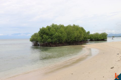 Land in Central Lombok, Indonesia No. 11549
