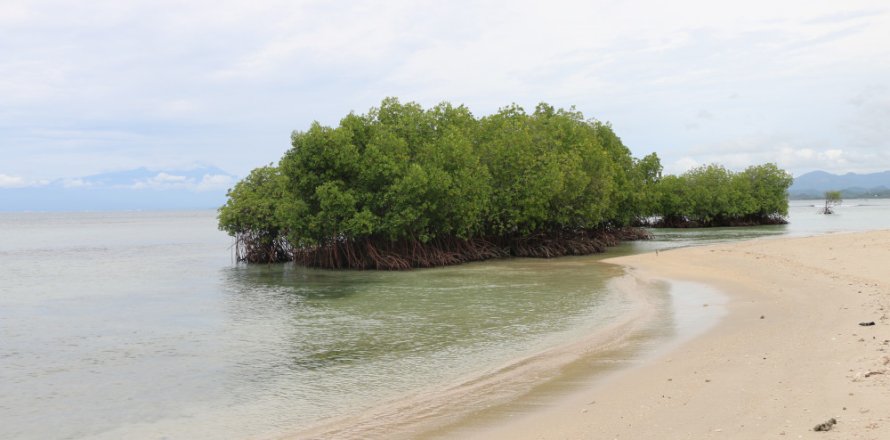 Land in Central Lombok, Indonesia No. 11549