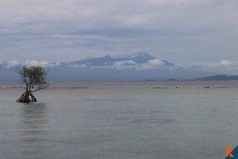 Land in Central Lombok, Indonesia No. 11549 5