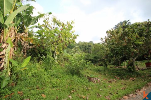 Land in Tabanan, Indonesia No. 11552 4