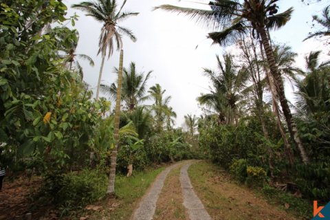 Land in Tabanan, Indonesia No. 11552 3