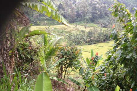 Land in Tabanan, Indonesia No. 11552 2