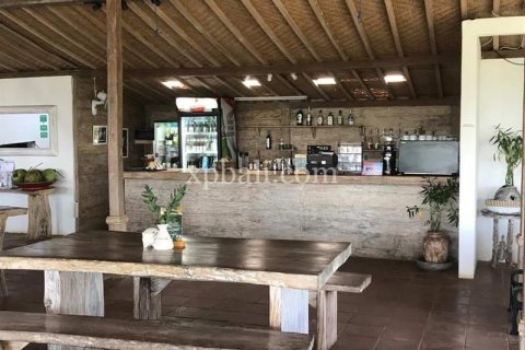 Commercial property in Tabanan, Indonesia No. 13569 9
